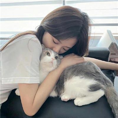 断线森林2