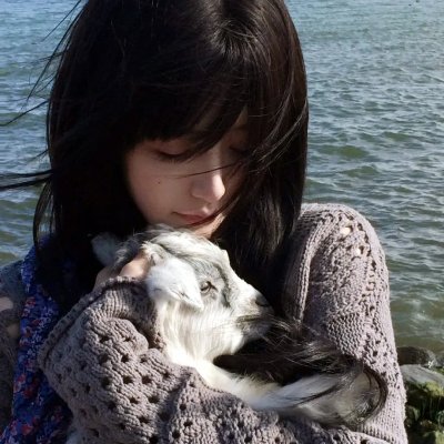 猎艳专使